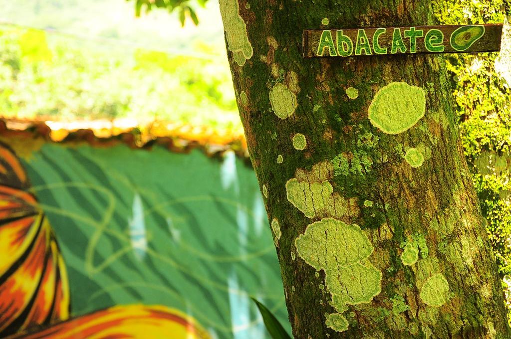 Hostel Casa Da Malu Abraão Dış mekan fotoğraf